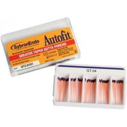 Pointes gutta autofit