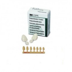 Couronnes ion polycarbonate