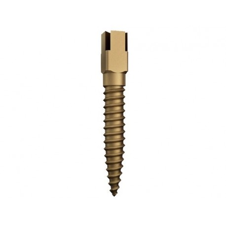 Tenons surtex tst titane / extra-longs