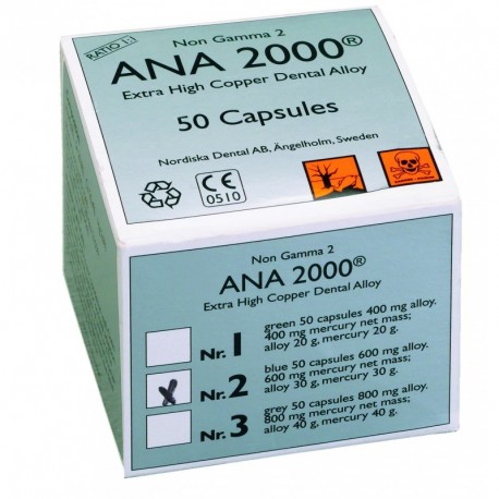 Ana 2000