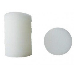 Eponges ovales