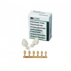 Couronnes ion polycarbonate