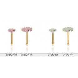 Eve diacomp plus twist
