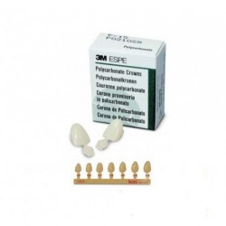 Couronnes ion polycarbonate