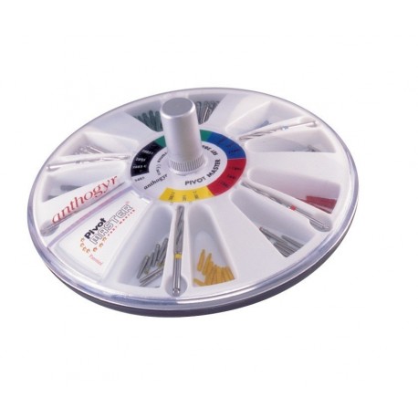 Tenons pivots master cylindro-coniques inox