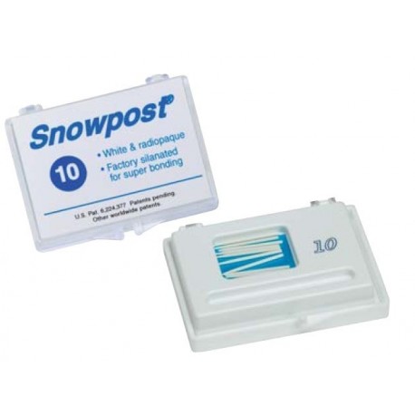Tenons snowpost