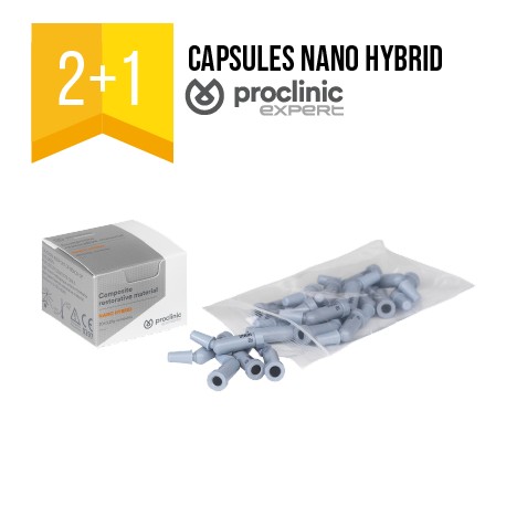 Composite nano hybrid capsules