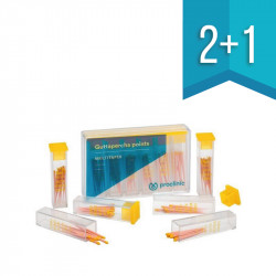 Pointes gutta taper pluri