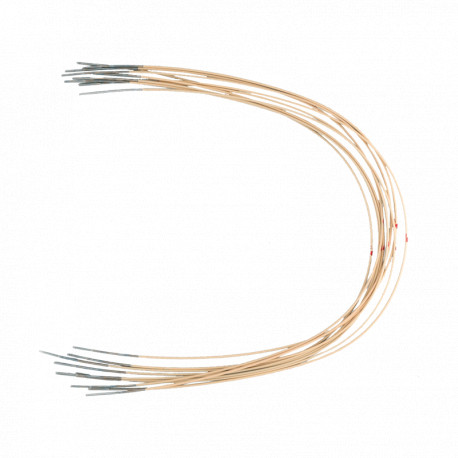 Arc Niti esthétique super élastique ovoïde rond