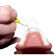 EverStick Ortho