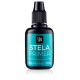 Stela Primer