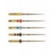 Protaper gold starter kit 31 mm