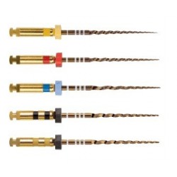 Protaper gold starter kit 31 mm