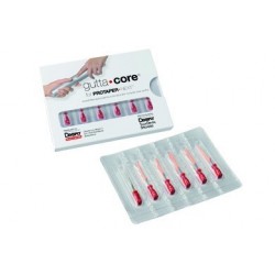 Guttacore protaper next